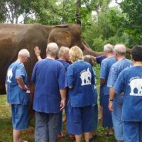 cotravel-blog-elefanten-burma-thailand