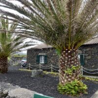 Palmen umgeben ein historisches Steinhaus auf Pico