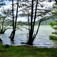 Die Bäume stehen am Furnassee teilweise im Wasser
